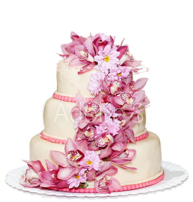 Azucar Bakery